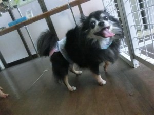 CIMG0765