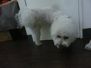 CIMG0789