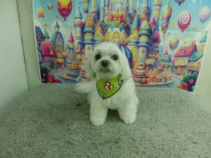 CIMG0807