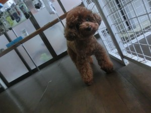 CIMG0810