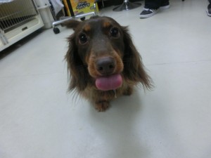 CIMG0827