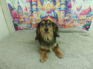 CIMG0827