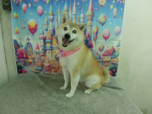 CIMG0857