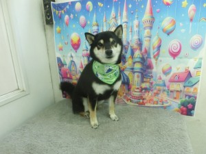 CIMG0876