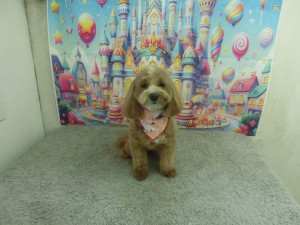 CIMG0884