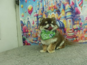 CIMG0908