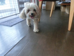 CIMG0927