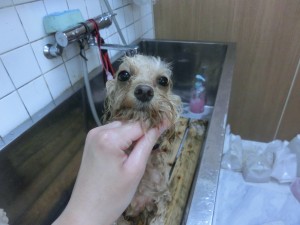 CIMG0929