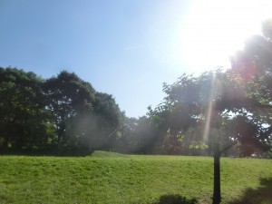 CIMG0929