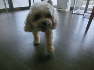 CIMG0936