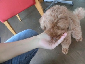 CIMG0944