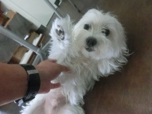 CIMG0947