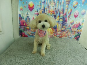 CIMG0961
