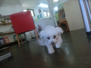 CIMG0974