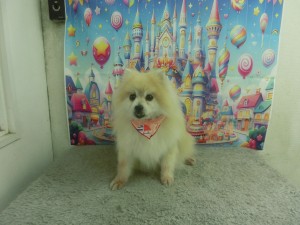 CIMG0992