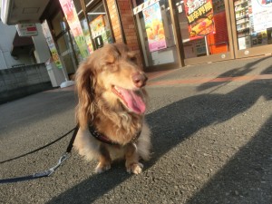 CIMG0992