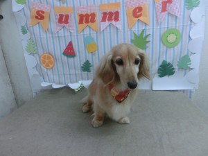 CIMG0993