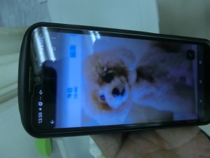 CIMG1495