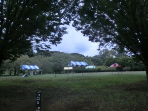 CIMG1526