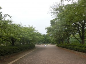CIMG1556