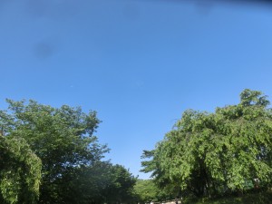 CIMG2589