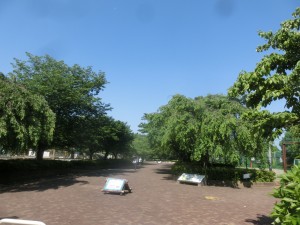 CIMG2771