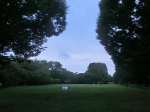 CIMG2954