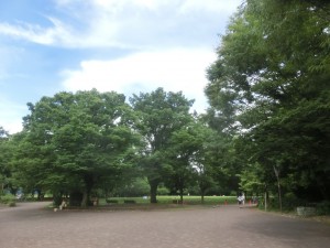 CIMG3125