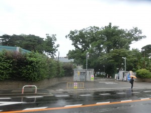 CIMG3179