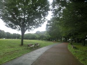 CIMG3269