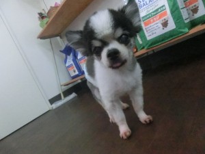 CIMG4329