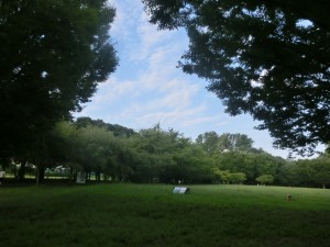 CIMG4704