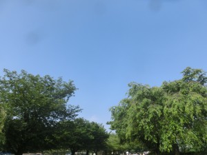CIMG5200
