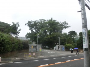 CIMG5283