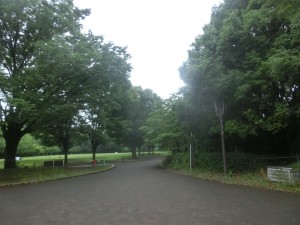 CIMG5744