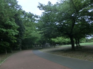 CIMG6145