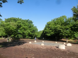 CIMG6307