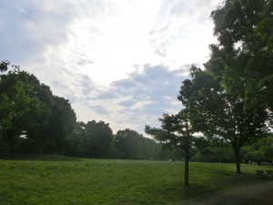 CIMG6573