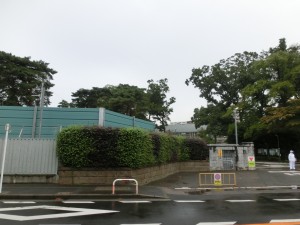 CIMG6641