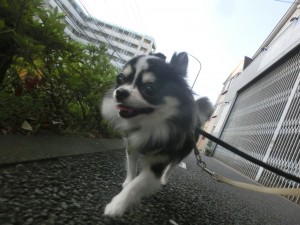 CIMG6730