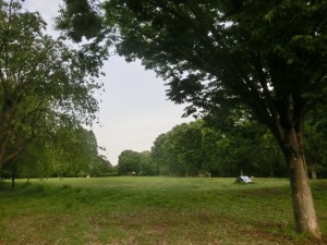 CIMG6773