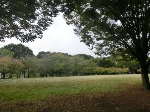 CIMG7430