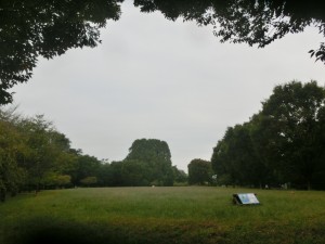 CIMG7493
