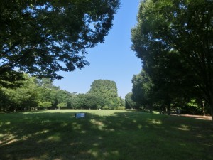 CIMG7526