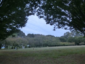 CIMG7552