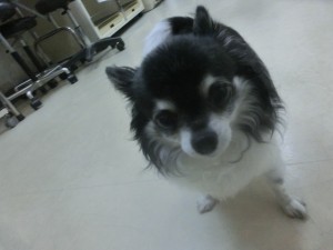 CIMG7755