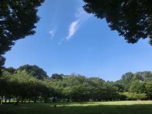 CIMG7755