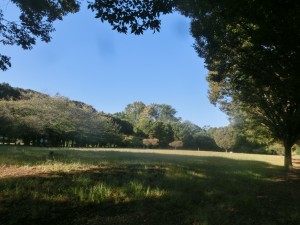 CIMG7780