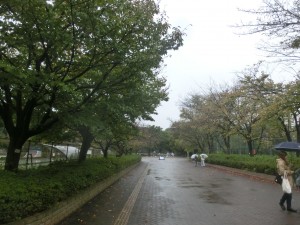 CIMG7913
