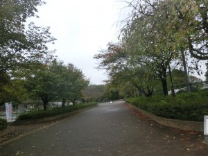 CIMG7979